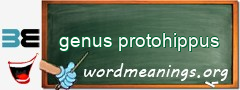 WordMeaning blackboard for genus protohippus